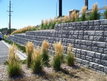 this is an image of landscapers work in manteca, california. 